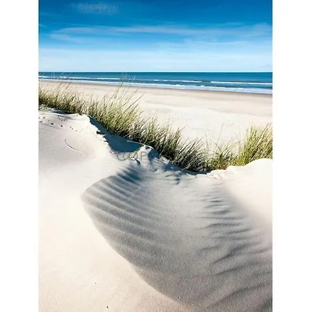 Lovely Near Holiday home Langeoog